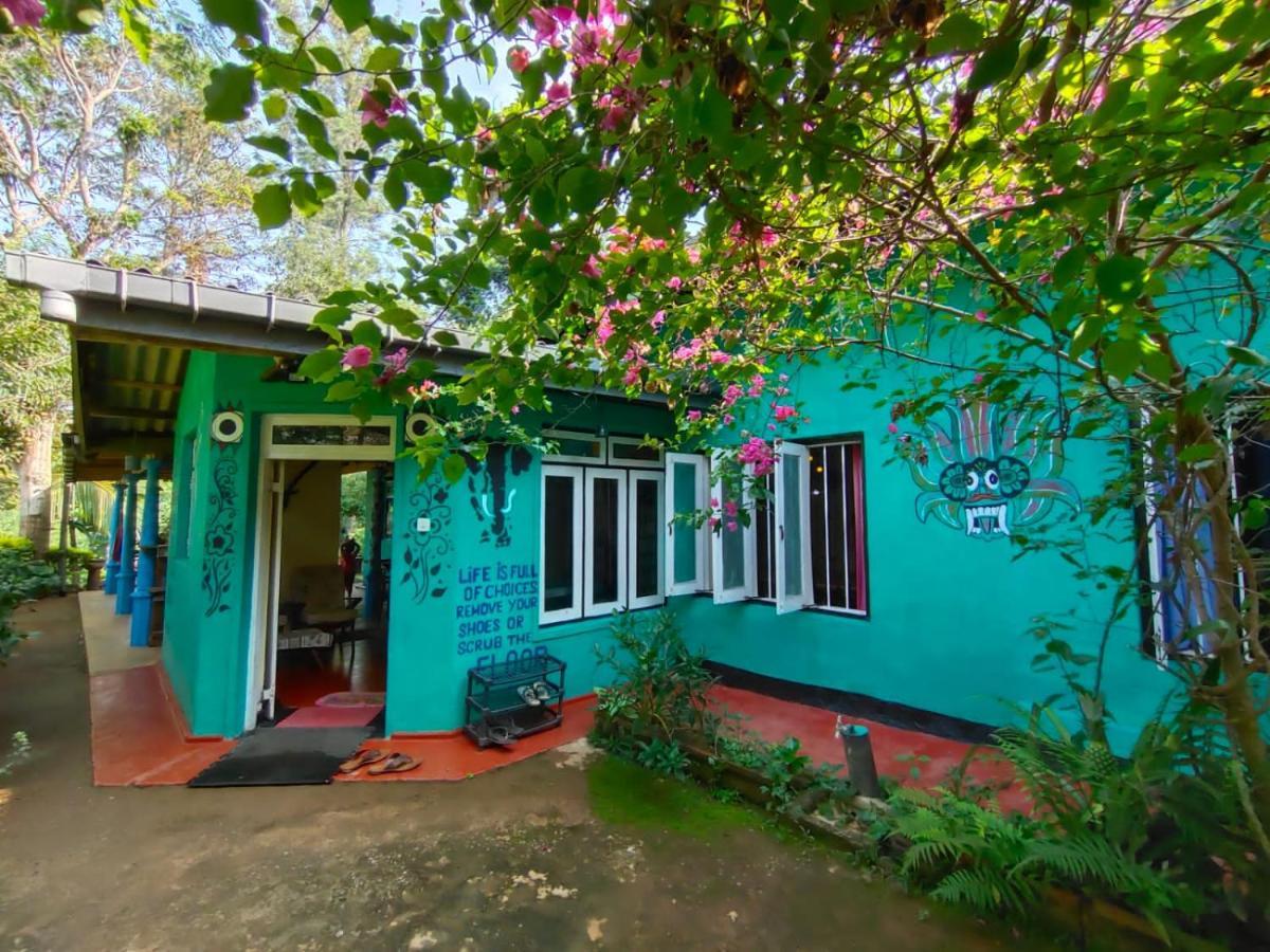 The 1964 Holiday Bungalow Ella Zewnętrze zdjęcie